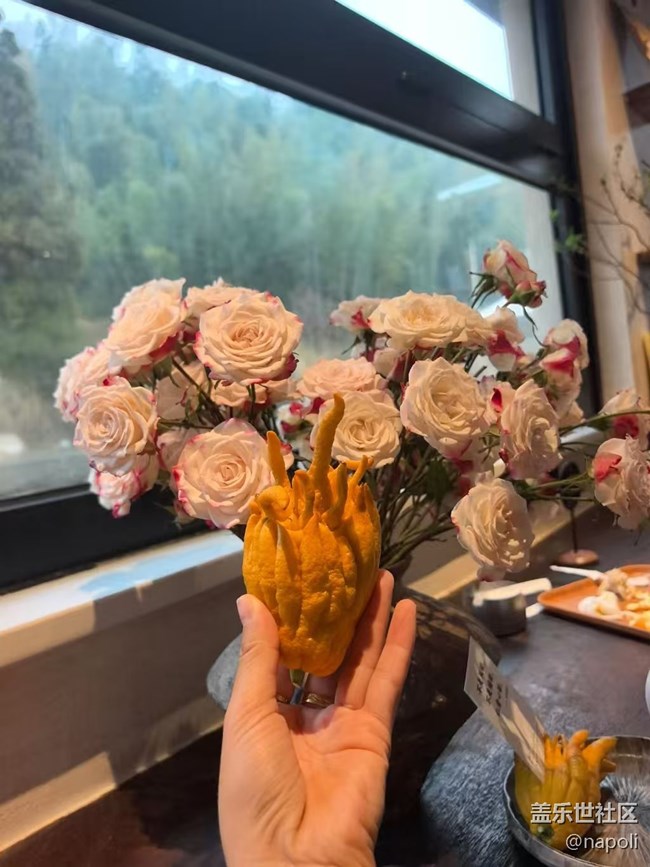 【早春第一站】开心游玩