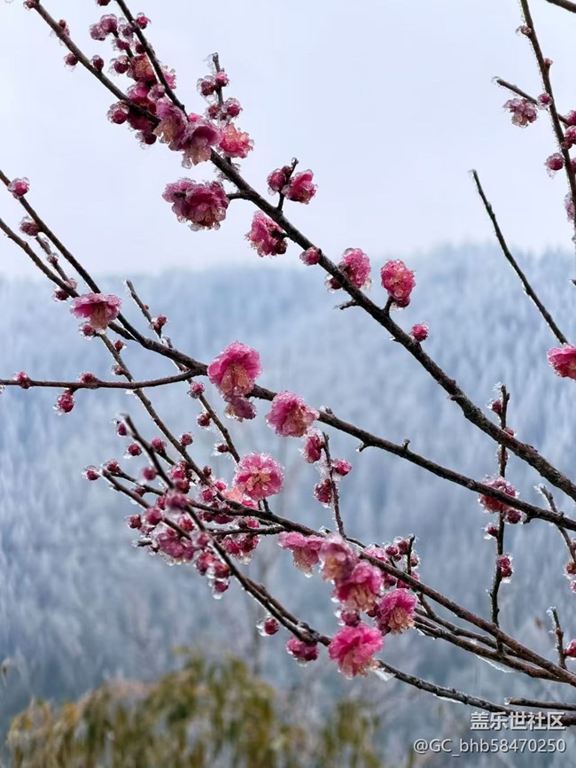 【早春第一站】赏雾凇