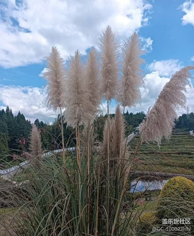 【早春第一站】家门口的风景