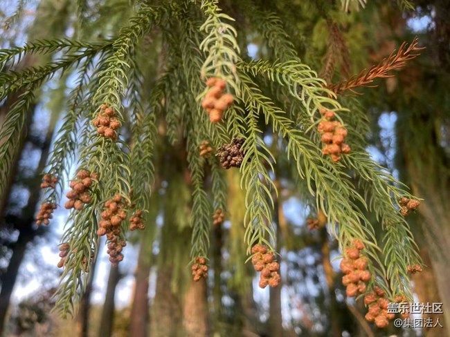 【早春第一站】爬山赏景