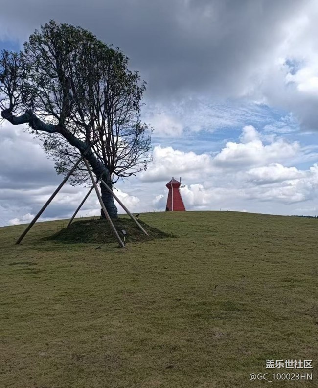【早春第一站】家门口的风景