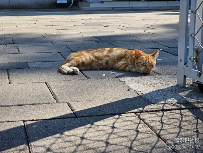 【冬韵】路上街景