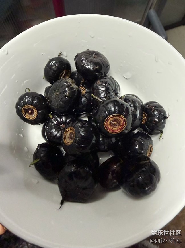 【早春第一站】户外