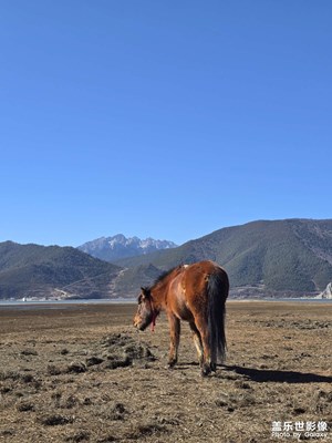 迪庆藏族自治州