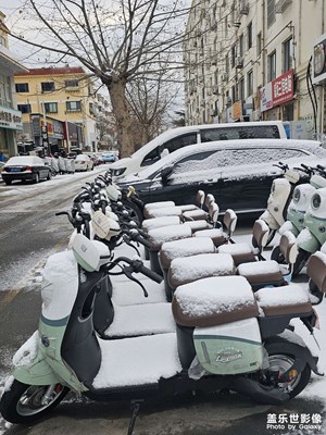 【不期而遇的美】随拍