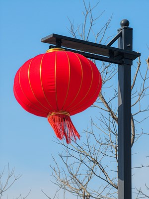 【摄影版块二月第四周】行摄正月里