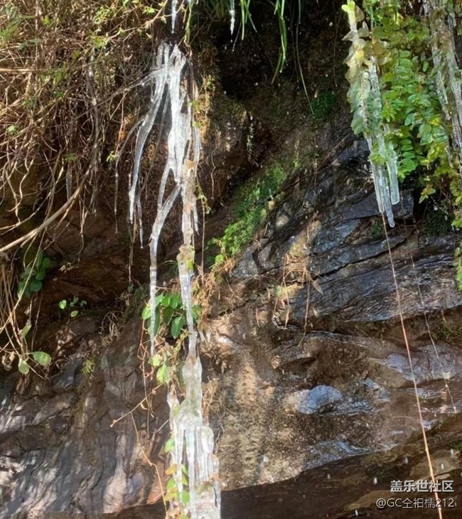 【早春第一站】冰冻世界