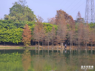 【不期而遇的美】+自然美景