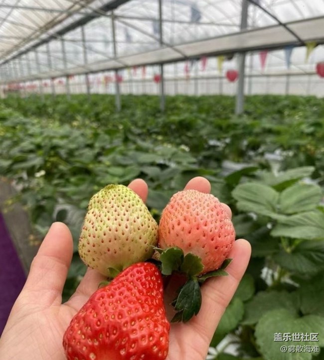 【早春第一站】华东之旅