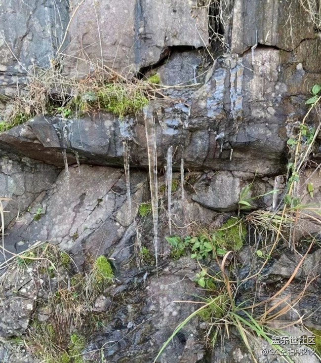 【早春第一站】冰冻世界