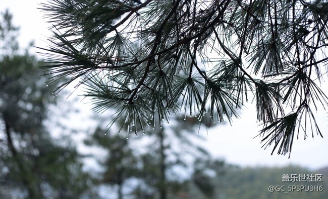 【早春第一站】登山