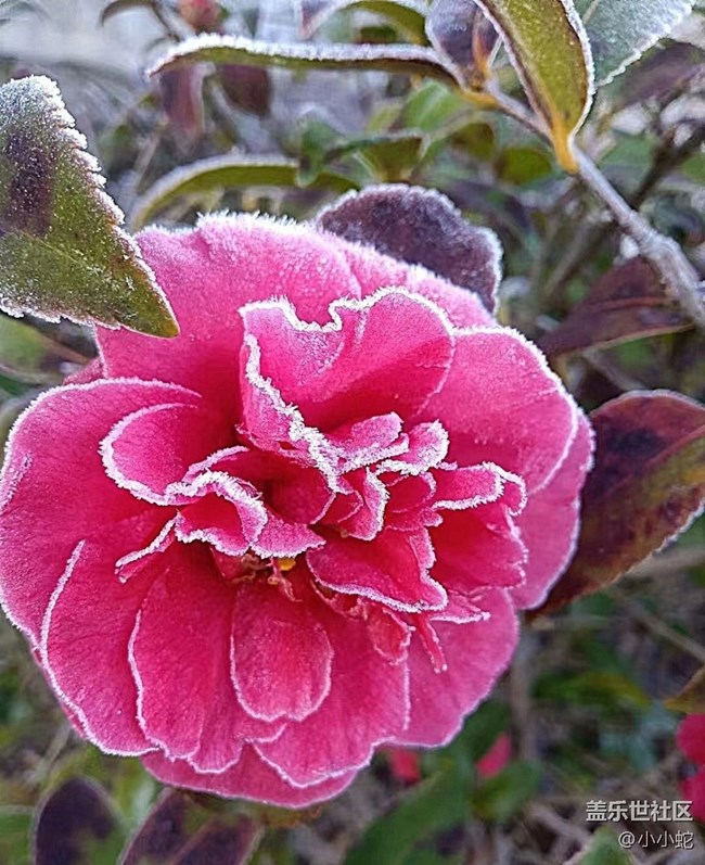 【早春第一站】寒冷清晨