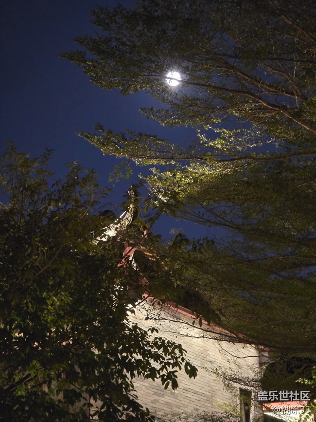 【星粉嘉年华】永庆坊里的冬日欢聚 【星粉嘉年华】永庆坊里的冬日欢聚