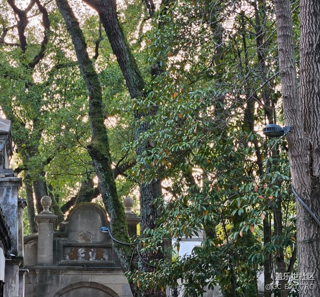 【早春第一站】旅行