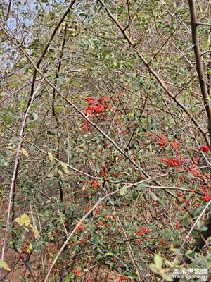 【不期而遇的美】+郊游之趣