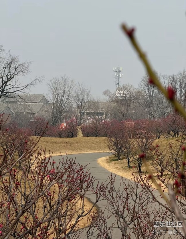 【早春第一站】赏梅去
