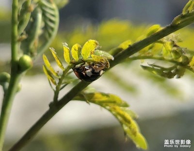 【不期而遇的美】+真的是不期而遇