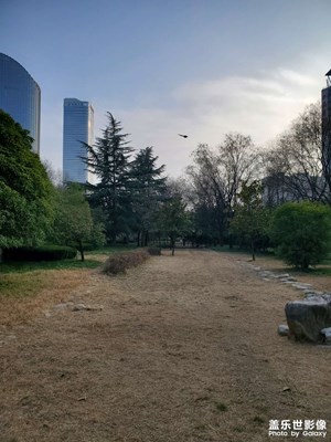 【不期而遇的美】冬季的天空