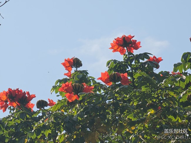 【早春第一站】户外好天气