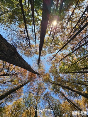 【不期而遇的美】+ 一月的广州麓湖
