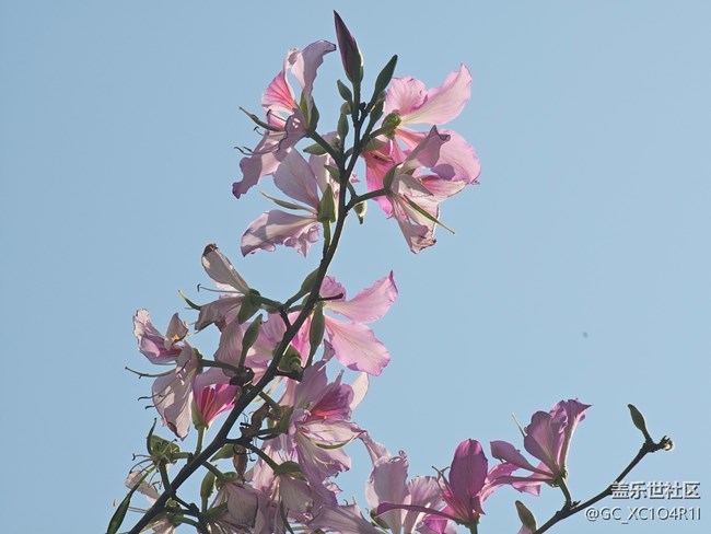 【早春第一站】户外好天气