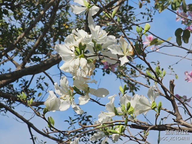 【早春第一站】户外好天气