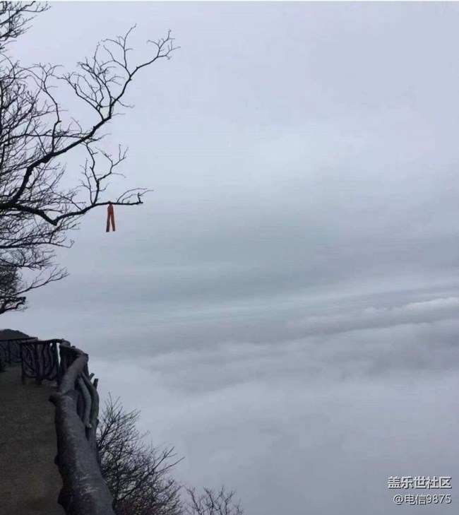 【早春第一站】张家界