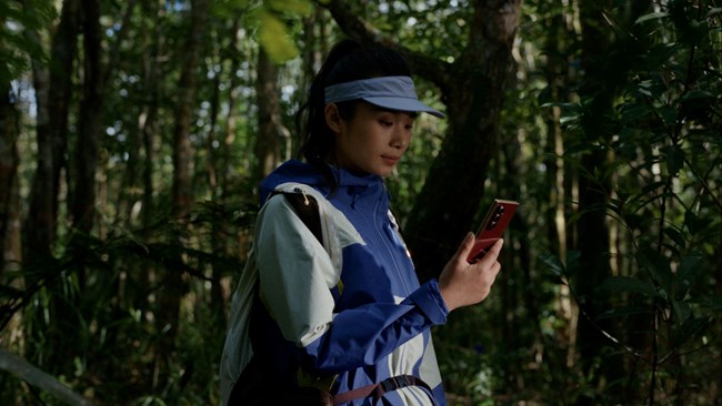 深山密林 通信畅联