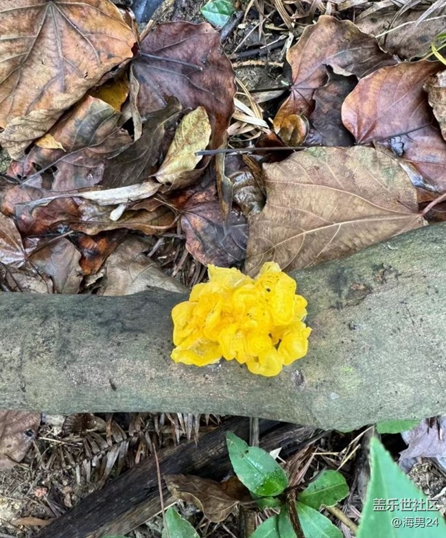 【早春第一站】看风景