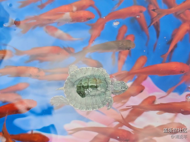 【早春第一站】户外好时光