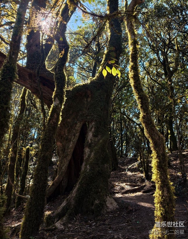 【早春第一站】徒步山野