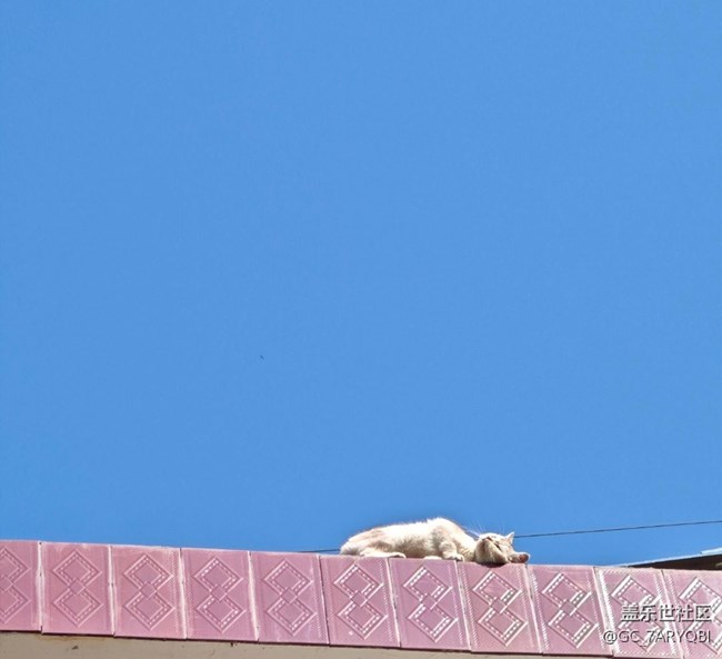 【早春第一站】早春出行