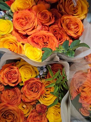 【不期而遇的美】走过路过