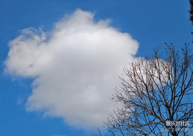 【早春第一站】早春出行