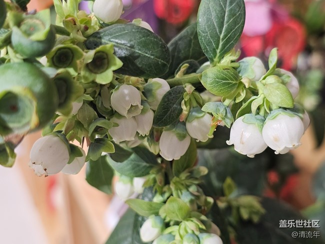 【早春第一站】户外好时光