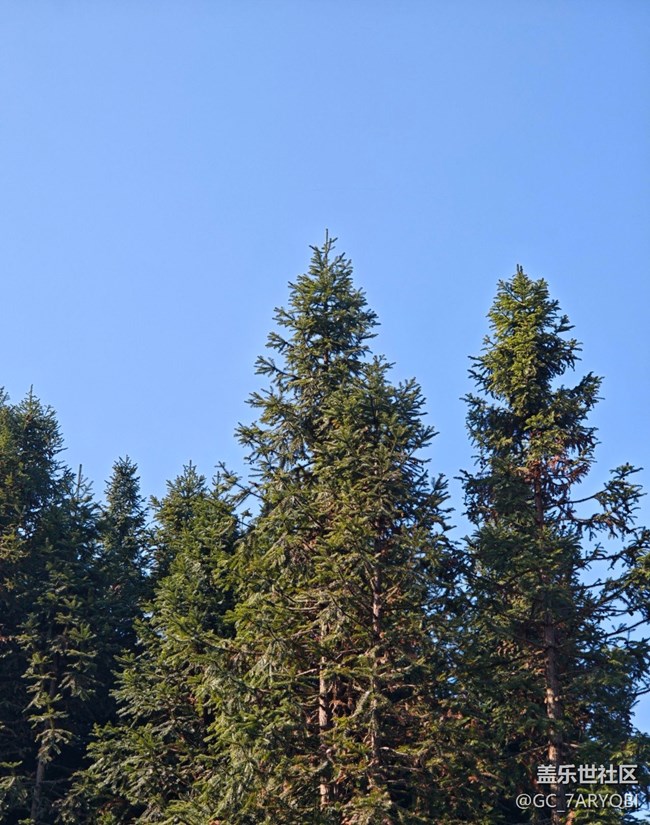 【早春第一站】早春出行