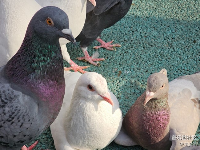 【早春第一站】户外好时光