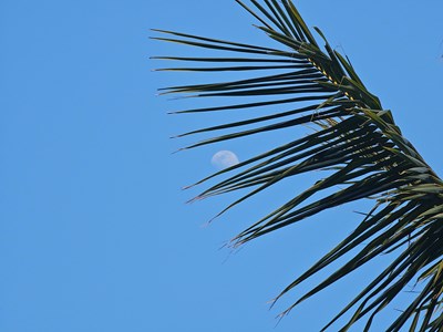 【不期而遇的美】抬头看