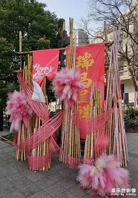 【靓影迎春】嘉定西云楼