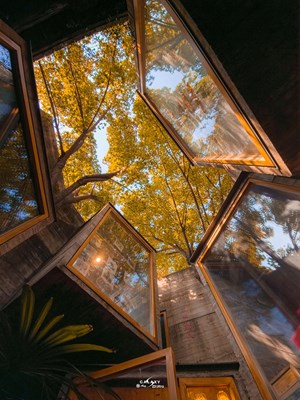 【新年决心】带着Galaxy去旅行