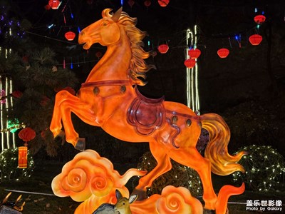 【靓影迎春】+骏马驾到