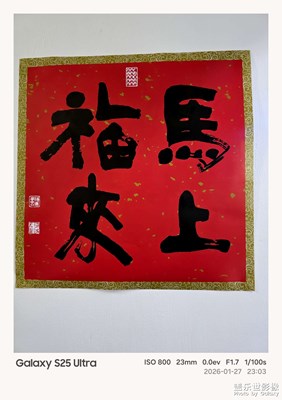 【靓影迎春】迎接新年