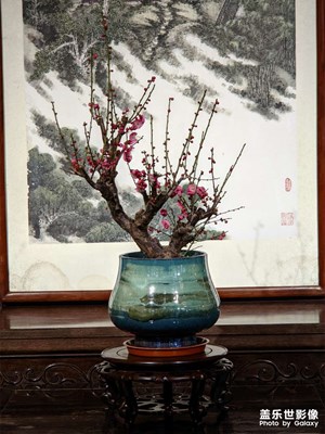 来寄畅园看看吧