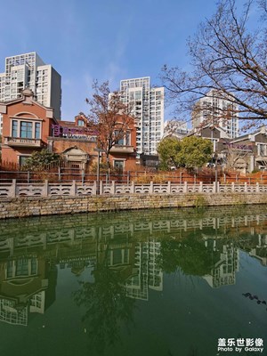 【靓影迎春】+小区倒影