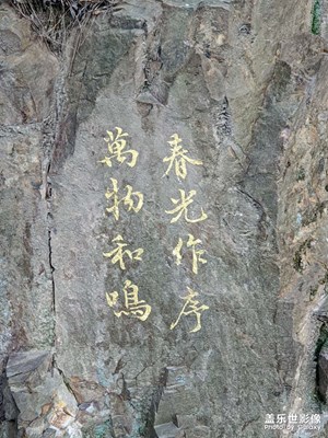 已经立春了 又是新的一年