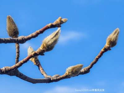 【新年决心】新的一年再出发