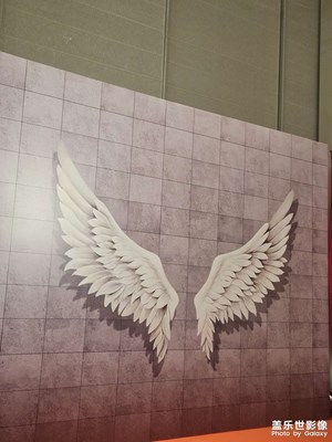 【靓影迎春】偶遇一个年会