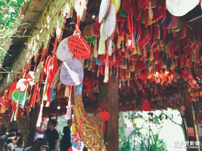 【靓影迎春】+旅途风景