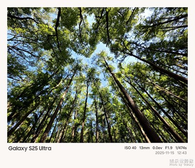 【新年决心】用Galaxy S25 Ultra 定格美好