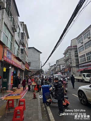 【靓影迎春】+打年货